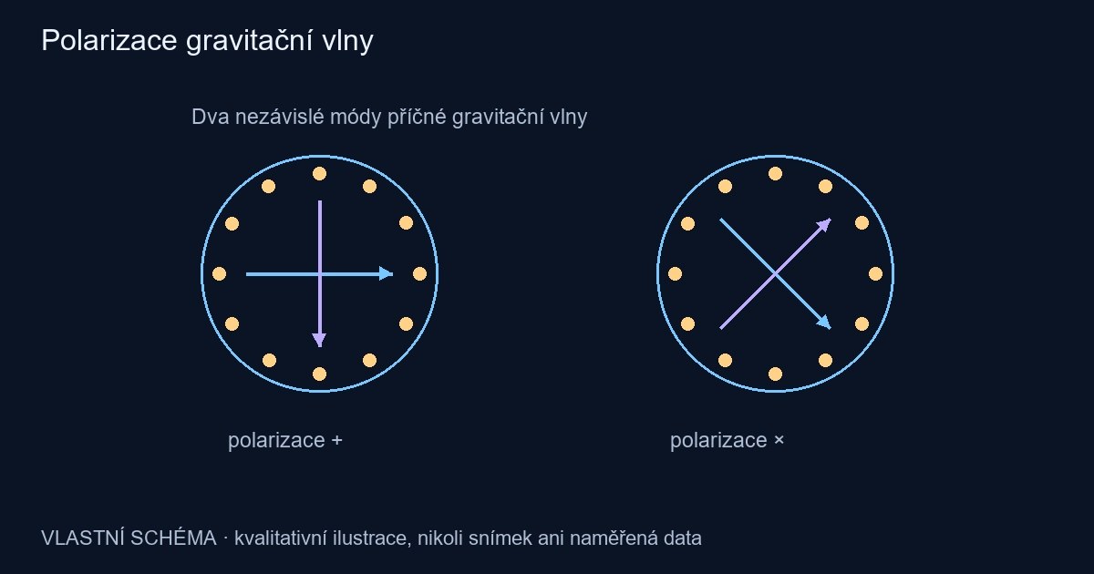 Polarizace gravitační vlny – vlastní kvalitativní schéma, nikoli pozorování