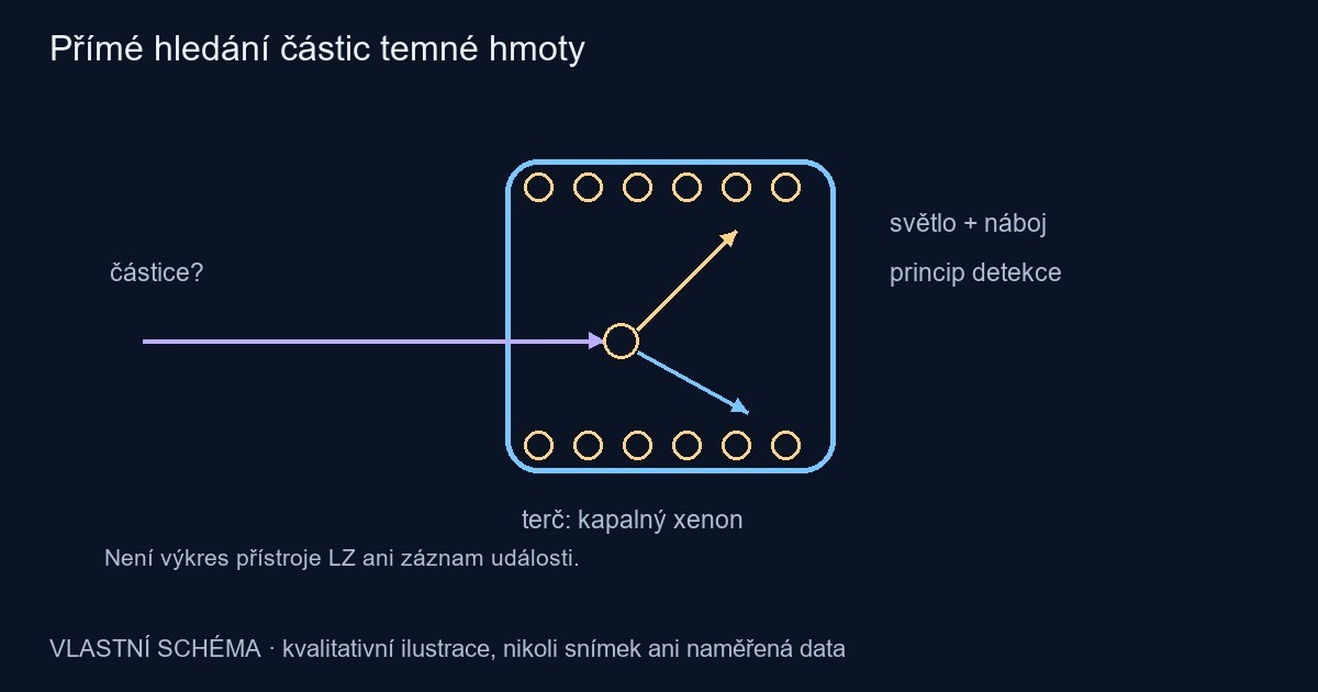 Přímé hledání částic temné hmoty – vlastní kvalitativní schéma, nikoli pozorování